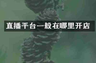 直播平台一般在哪里开店