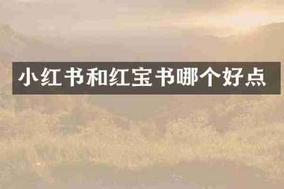 小红书和红宝书哪个好点