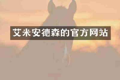 艾米安德森的官方网站