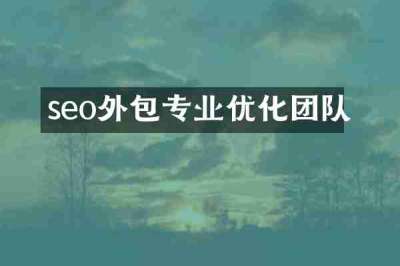 seo外包专业优化团队