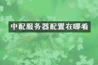 中配服务器配置在哪看