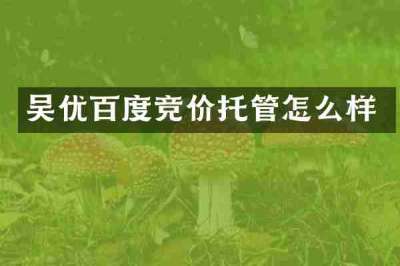 吴优百度竞价托管怎么样