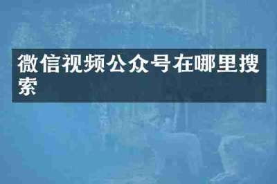 微信视频公众号在哪里搜索