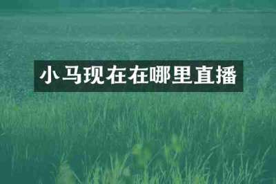 小马现在在哪里直播