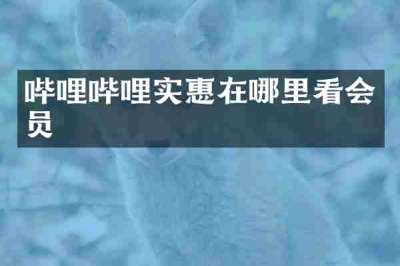 哔哩哔哩实惠在哪里看会员