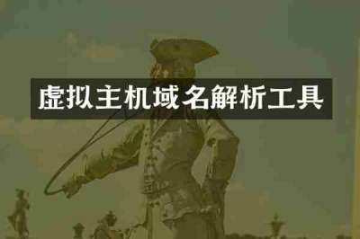 虚拟主机域名解析工具