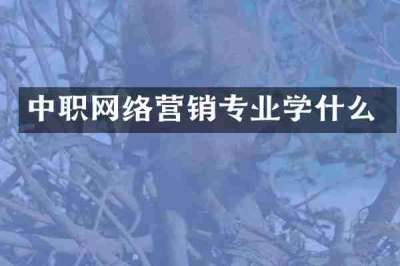 中职网络营销专业学什么