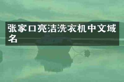 张家口亮洁洗衣机中文域名