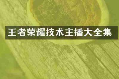 王者荣耀技术主播大全集