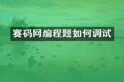赛码网编程题如何调试