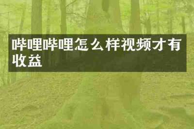 哔哩哔哩怎么样视频才有收益