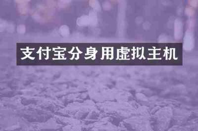 支付宝分身用虚拟主机