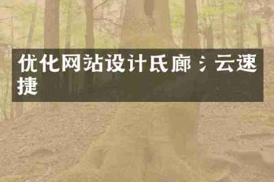 优化网站设计氐廊氵云速捷