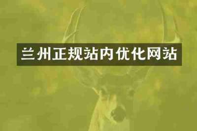 兰州正规站内优化网站