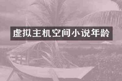 虚拟主机空间小说年龄