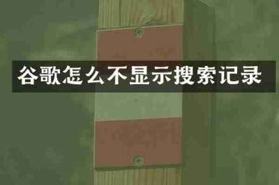 谷歌怎么不显示搜索记录