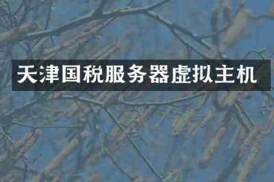 天津国税服务器虚拟主机
