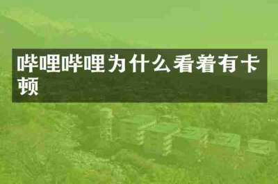 哔哩哔哩为什么看着有卡顿