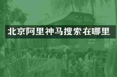 北京阿里神马搜索在哪里