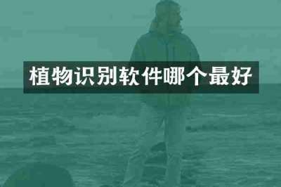 植物识别软件哪个最好