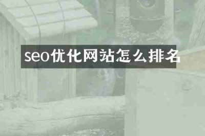 seo优化网站怎么排名