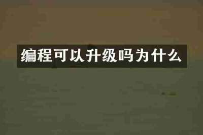 编程可以升级吗为什么