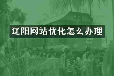 辽阳网站优化怎么办理