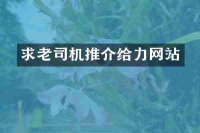 求老司机推介给力网站