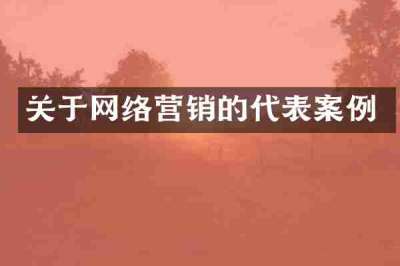 关于网络营销的代表案例