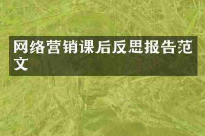 网络营销课后反思报告范文