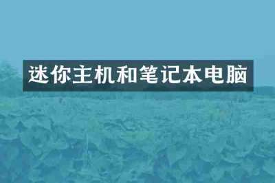 迷你主机和笔记本电脑