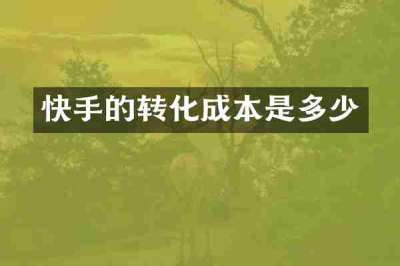 快手的转化成本是多少