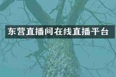东营直播间在线直播平台