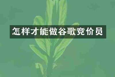 怎样才能做谷歌竞价员
