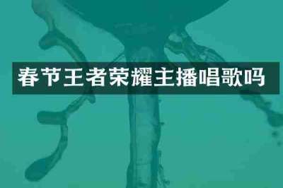 春节王者荣耀主播唱歌吗
