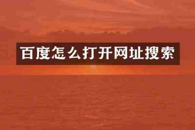 百度怎么打开网址搜索