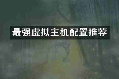 最强虚拟主机配置推荐