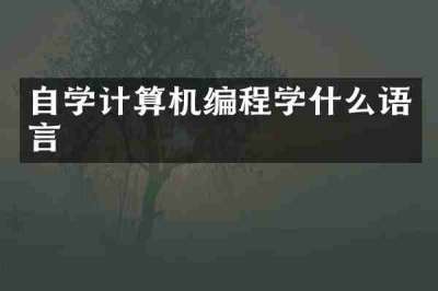 自学计算机编程学什么语言