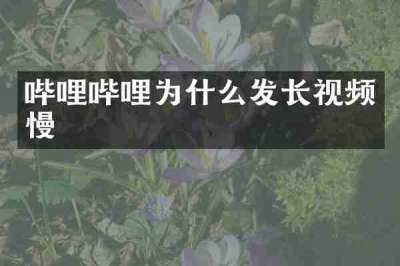 哔哩哔哩为什么发长视频慢