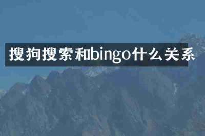 搜狗搜索和bingo什么关系