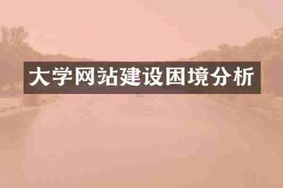 大学网站建设困境分析