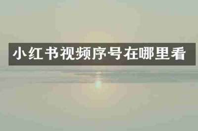 小红书视频序号在哪里看