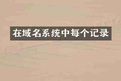 在域名系统中每个记录