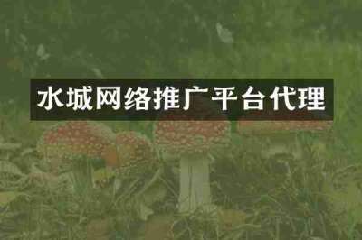 水城网络推广平台代理