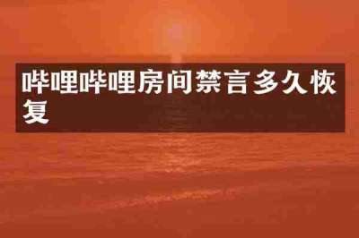 哔哩哔哩房间禁言多久恢复