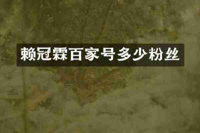赖冠霖百家号多少粉丝