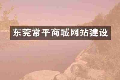 东莞常平商城网站建设