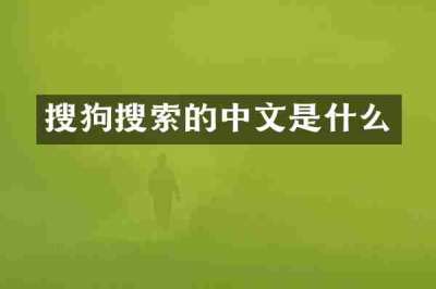 搜狗搜索的中文是什么