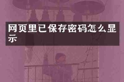 网页里已保存密码怎么显示
