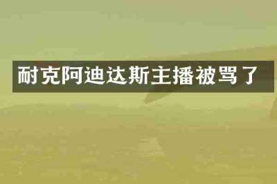耐克阿迪达斯主播被骂了